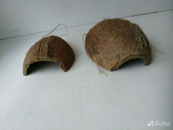 Кокосы, пещеры для рыбок