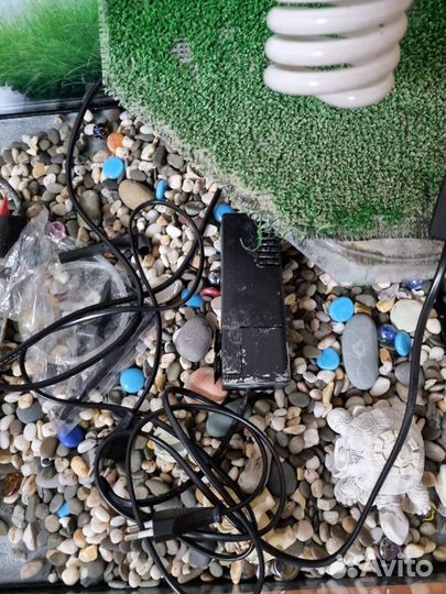 Террариум для черепахи