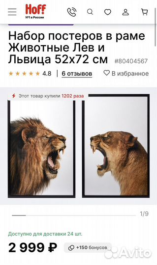 Постер картина из Hoff Лев и Львица