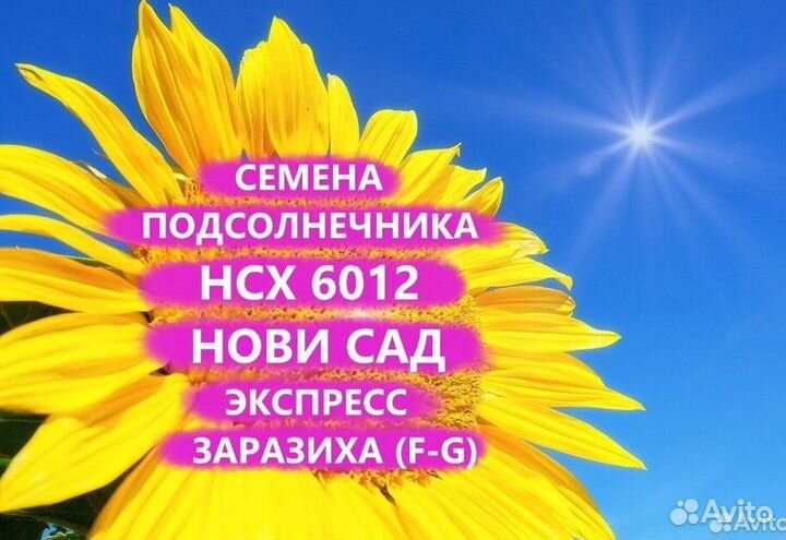 Семена подсолнечника нсх 6012 Гибрид нс, Рязань