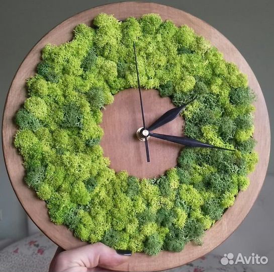 Часы со мхом / картина со мхом