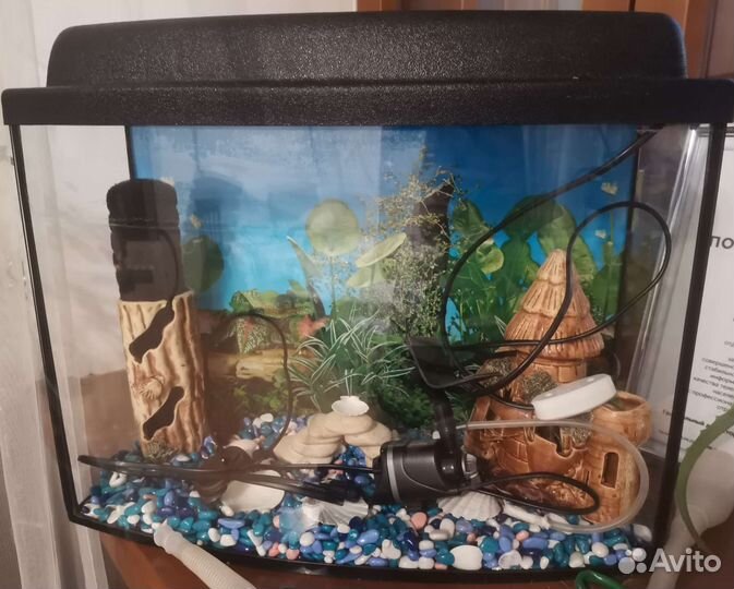 Аквариум