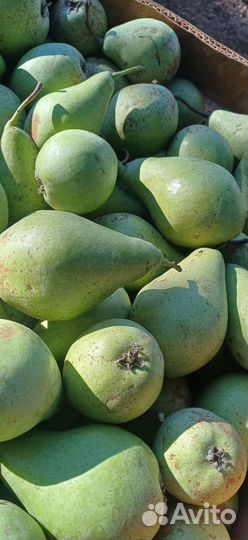 Продаётся груши