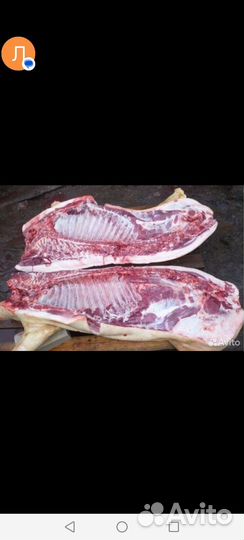 Мясо свинина домашняя