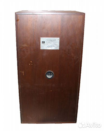 Колонка Электроника 25 ас 033