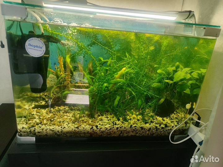 Аквариум