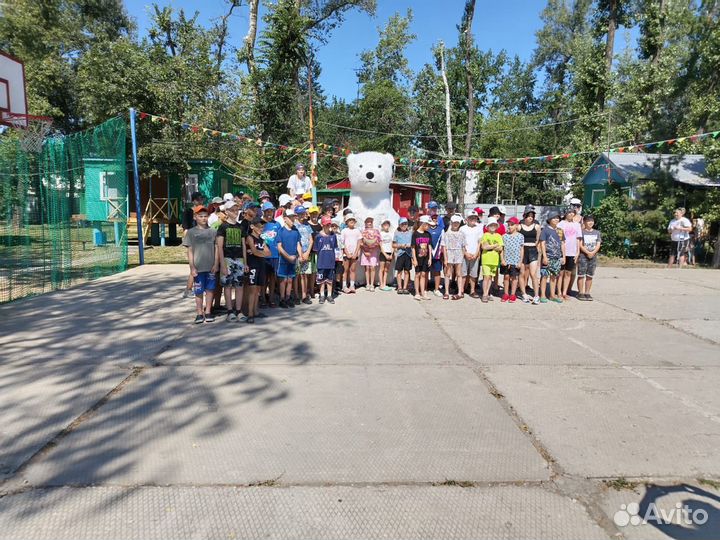 Белый мишка на поздравление