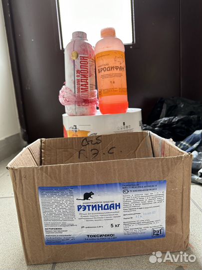 Клопы плесень крысы тараканы осы блохи запахи