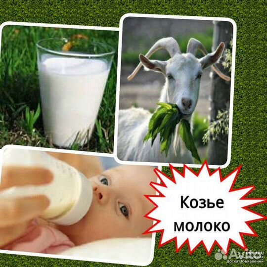Козье молоко с доставкой