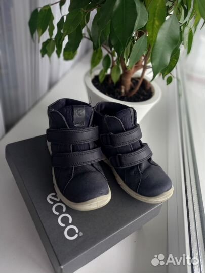 Ботинки детские ecco 26