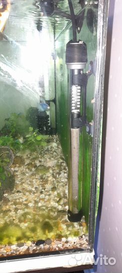 Комплект аквариум 200 л