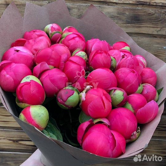 Свежие пионы от производителя доставка 24 7