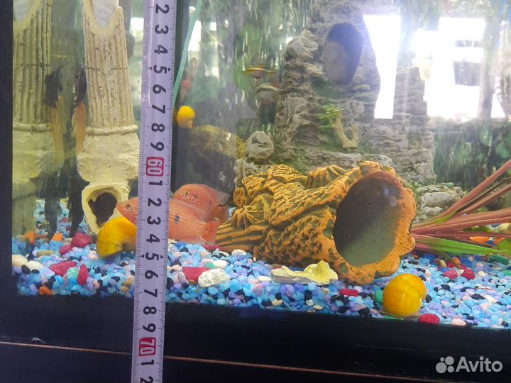 Аквариум