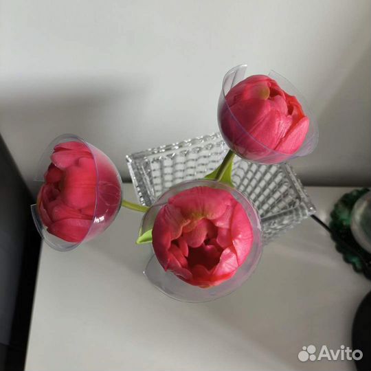 Тюльпаны Villeroy&Boch