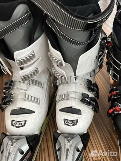 Горные лыжи