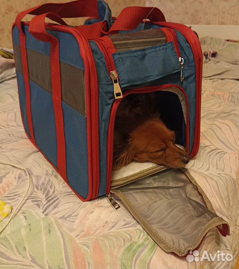 Переноска для авиа и ж/д путешествий