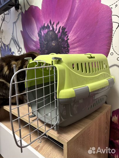 Переноска для кошек