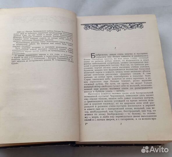 Книга М.Старицкий. Перед бурей