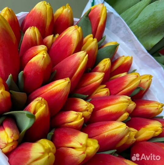 Тюльпаны букеты