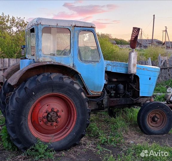Трактор МТЗ (Беларус) 50, 1976