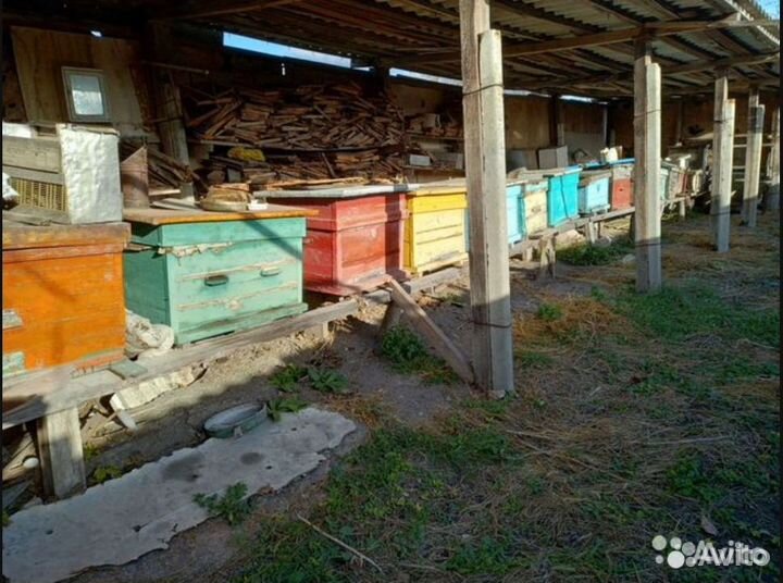 Улей и рамки