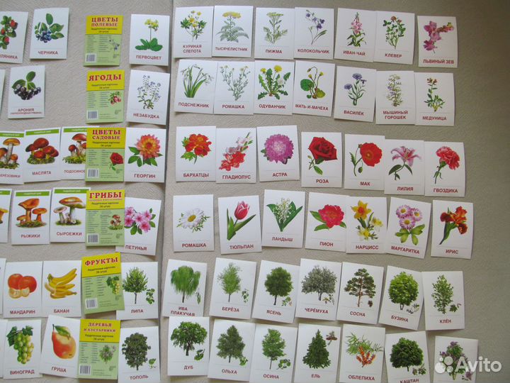 Развивающие карточки