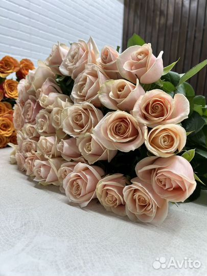 Розы со склада свежие