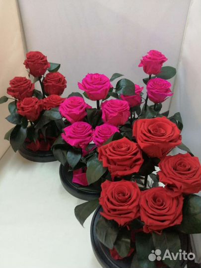 Цветы оптом