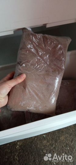 Яйца Артемии