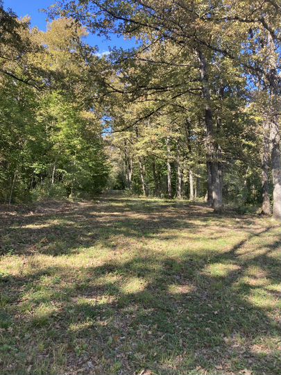 Участок 15 сот. (ИЖС)