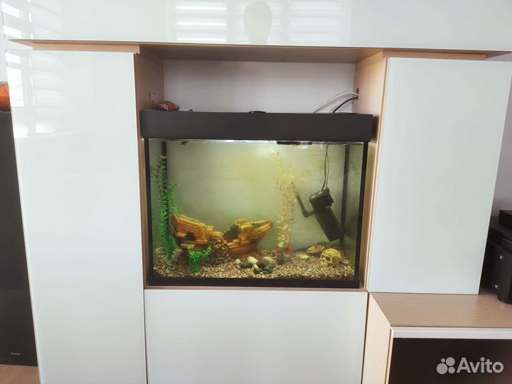 Аквариум