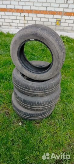 Gislaved Euro Frost 2 195/65 R15