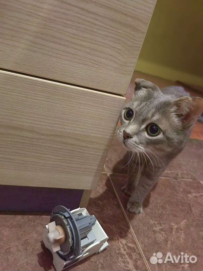 Ремонт стиралок. Ремонт, скупка, продажа, запчасти