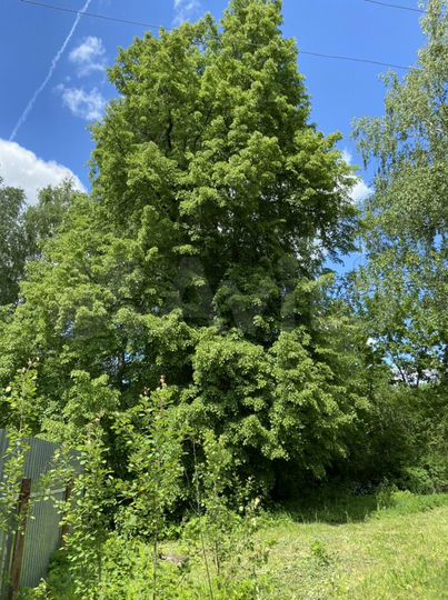 Дом 150 м² на участке 12 сот.