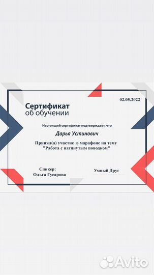 Кинолог, дрессировка собак