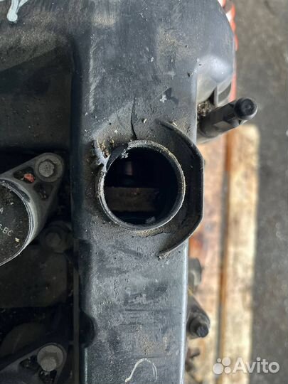 Двигатель на авто Ford Focus 2 2.0 C307/ Aoda