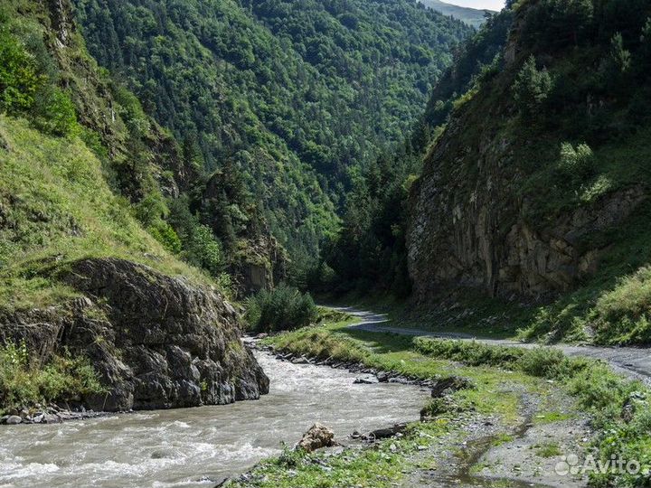 Грозный Топ-Экскурсия Аргунское ущелье: по дороге