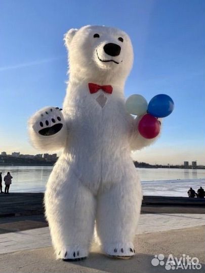 Ростовой мишка поздравление