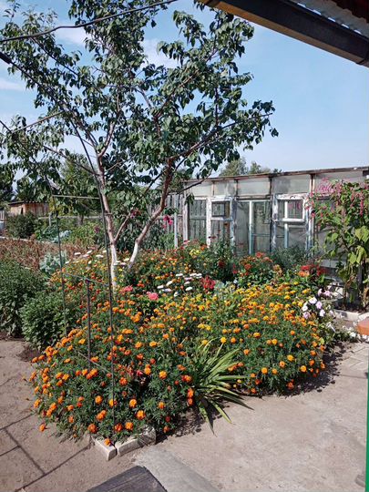 Дом 30 м² на участке 8 сот.