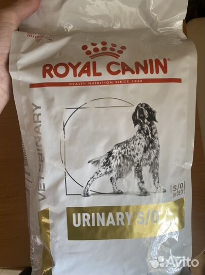 Сухой корм для собак royal canin