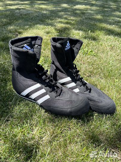 Боксерки adidas box hog 2