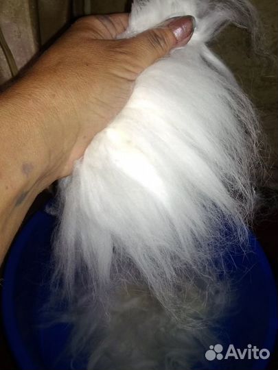 Пух кролика