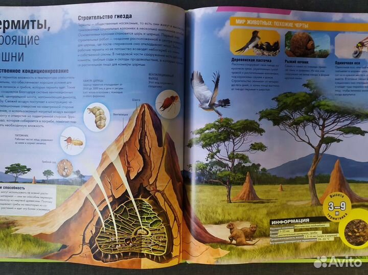 Книги для детей, энциклопедии