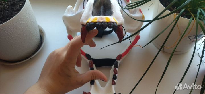 Маска скулл дог