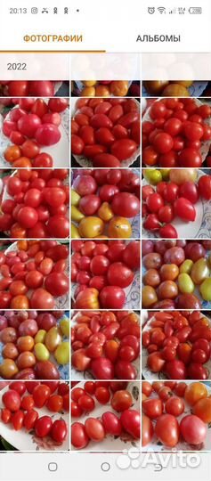 Коллекционные сорта семян