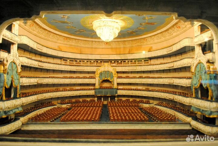 Горячие билеты в Мариинский театр Спб 1/2