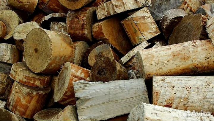 Дрова Береза