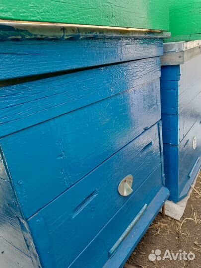 Улики для пчел