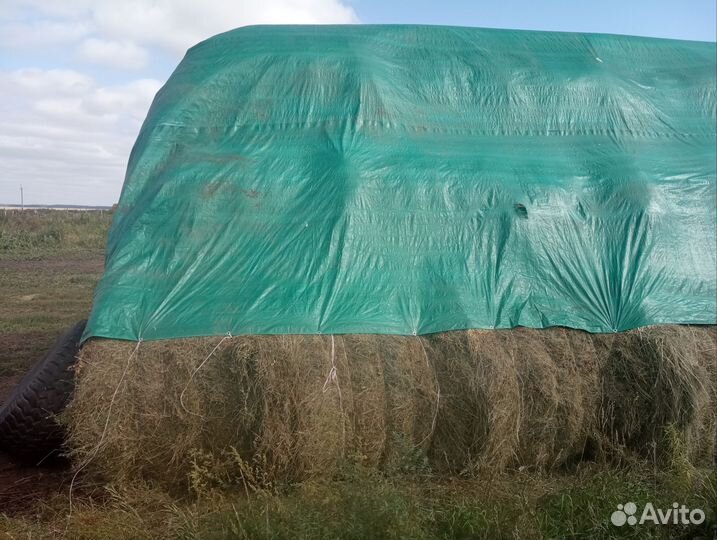 Продам сено в рулонах
