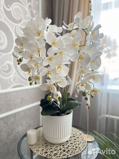 Интерьерные композиции